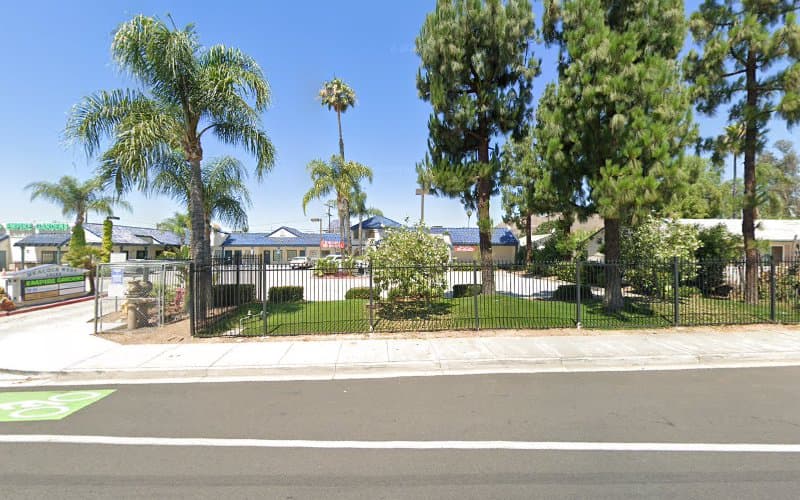 Chinese Medicine Clinic clinic