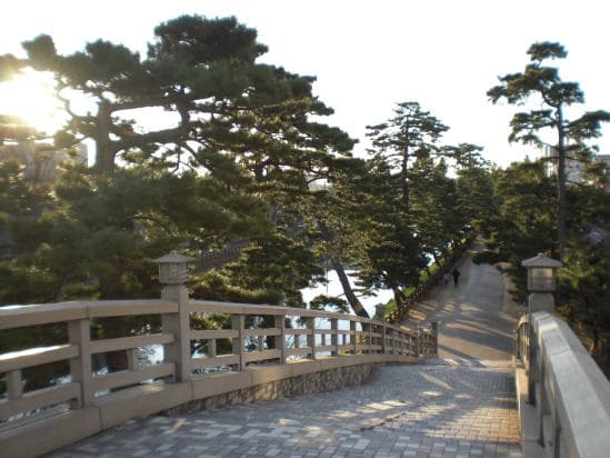 Acupuncture Shiatsu Wellness clinic