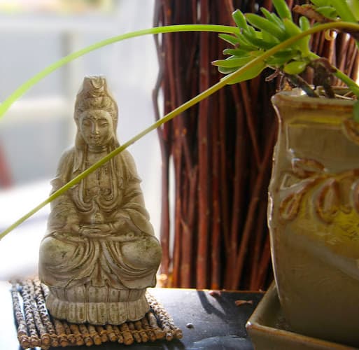 Blue Lotus Center For Health clinic