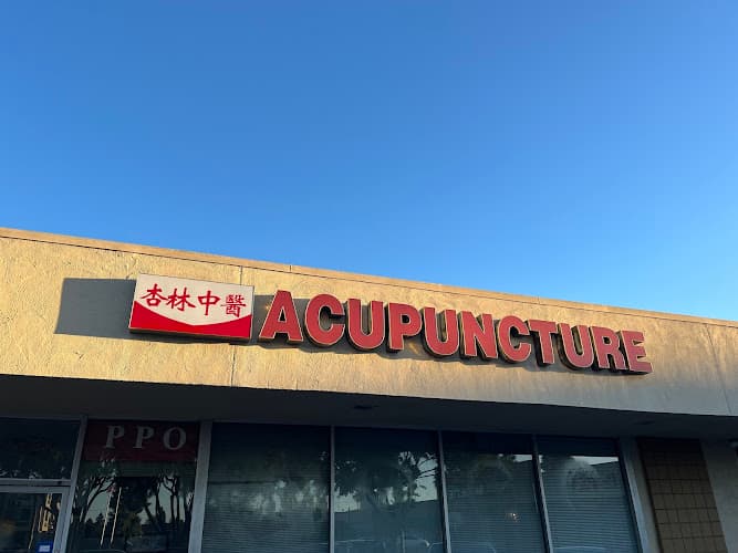 Xing Lin Acupuncture clinic