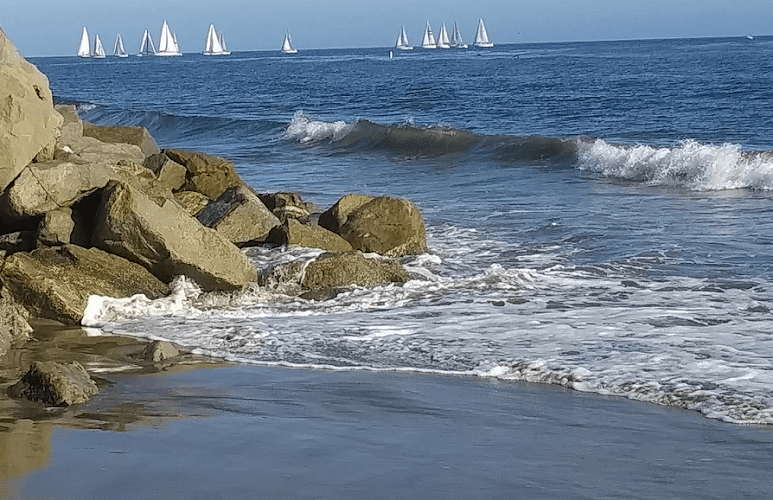 Santa Cruz Acupuncture and EFT clinic