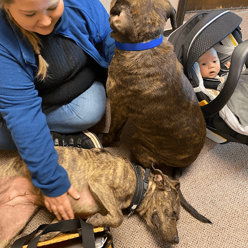 Bumblebee AcuTherapy clinic