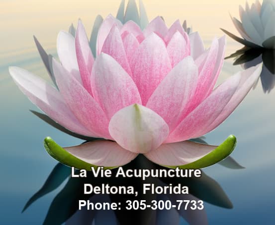 La Vie Acupuncture clinic