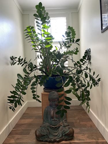 JadeSpring Healing Arts clinic