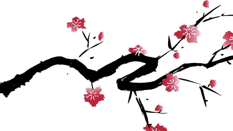 KayaKalp Acupuncture, LLC clinic