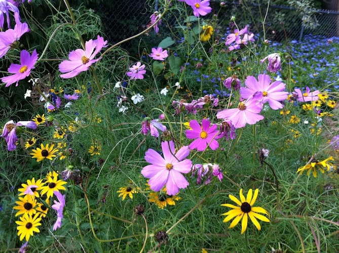 Barrington Acupuncture Clinic clinic