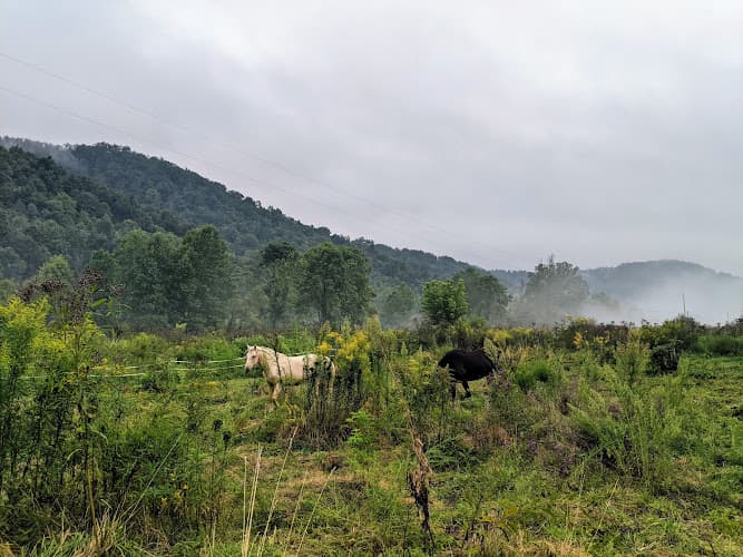 Cheng Integrative Acupuncture clinic