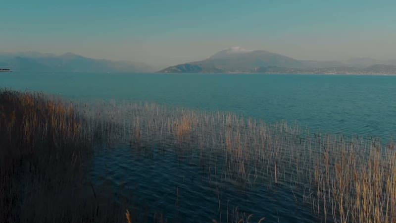 Advanced Acupuncture LLC clinic