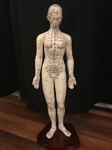 Stream of Life Acupuncture, LLC clinic