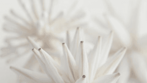 Seed Acupuncture clinic