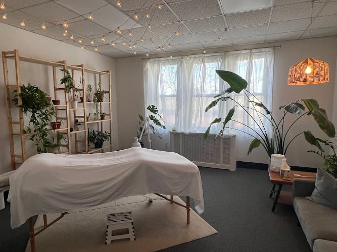 Feather & Seed clinic