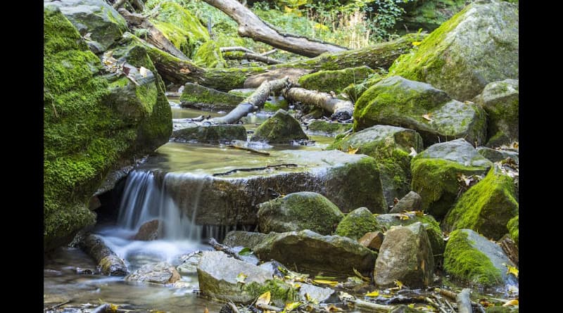 Better Days Acupuncture clinic