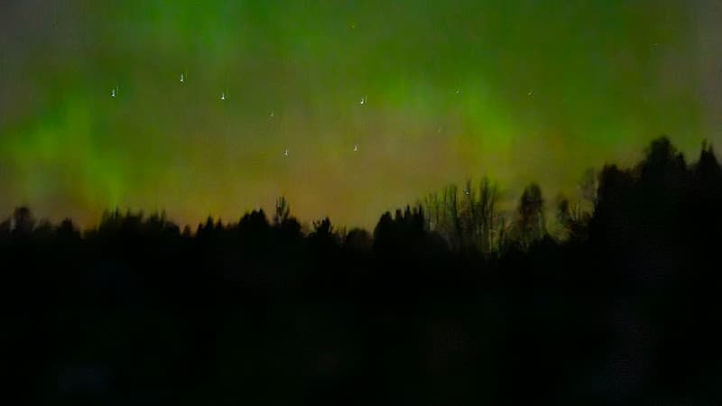 Earth Elements Acupuncture & Wellness clinic