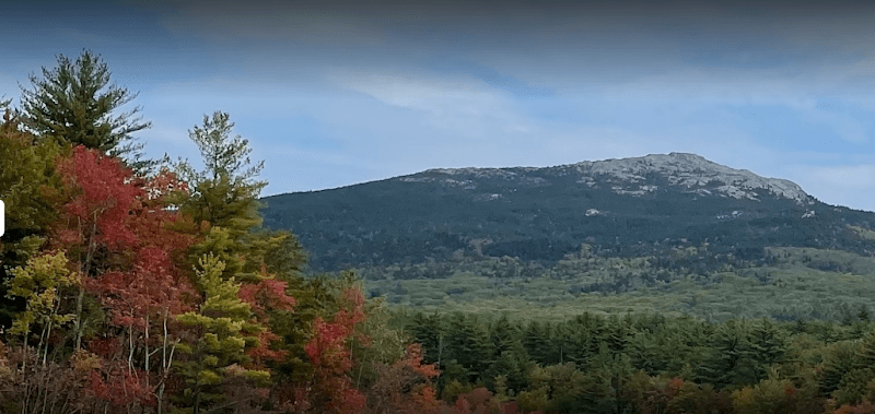 Better Life Acupuncture clinic