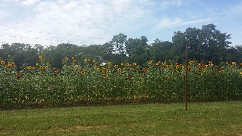 Dr. Paula V. Redhead clinic