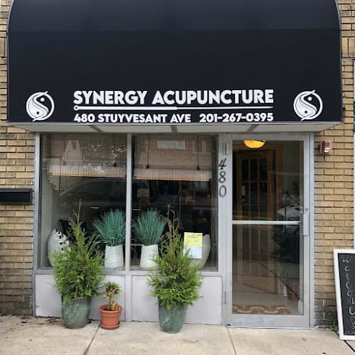 Synergy Acupuncture LLC clinic