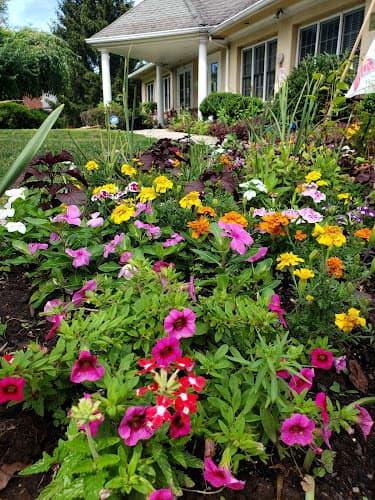 Natural Wellness Center clinic