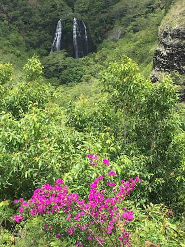 Acupuncture Medical Associates clinic