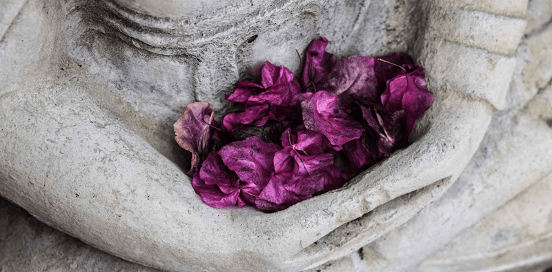 Andress Acupuncture clinic