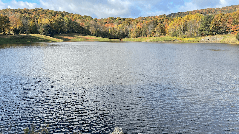 Haven Acupuncture & Chiropractic PLLC clinic