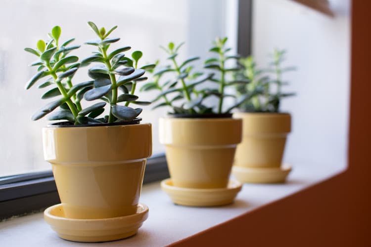 8 Point Wellness clinic