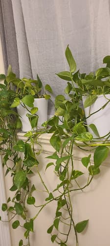 BDYi Acupuncture clinic