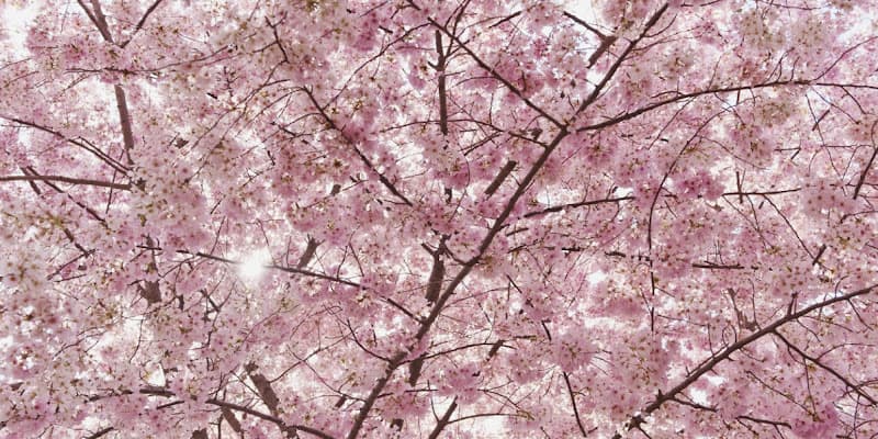 Body Aware New York clinic