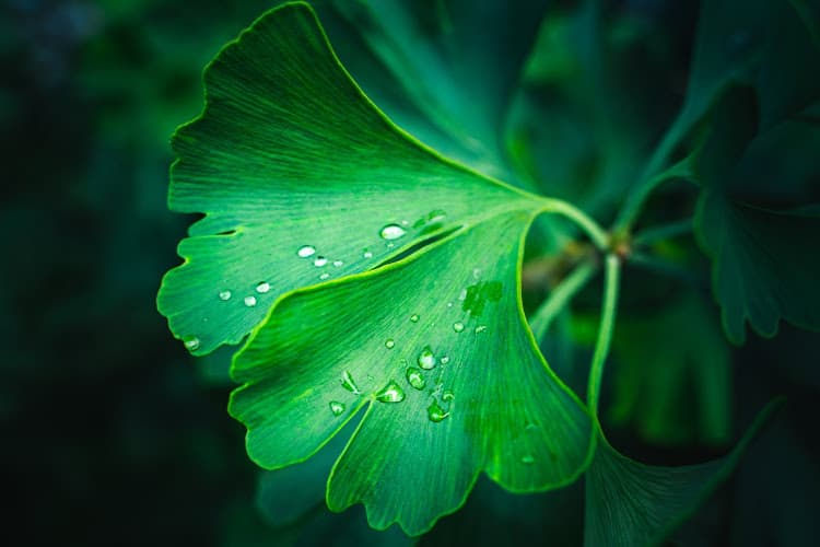 Lin’s Comprehensive Acupuncture PLLC clinic