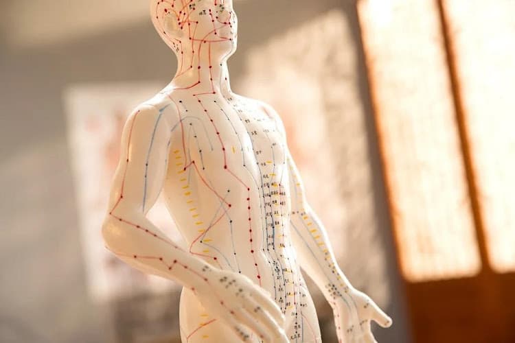 The Force Acupuncture clinic