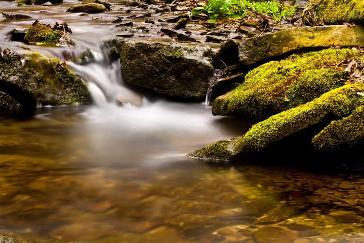 Southtowns Acupuncture and Herbs clinic