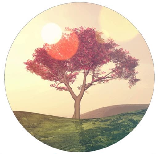 McIver Acupuncture clinic