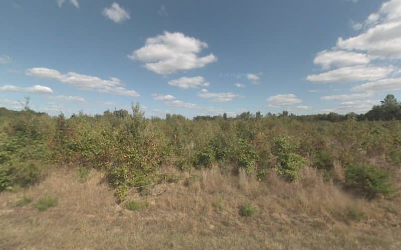 Marieke Pieterman clinic