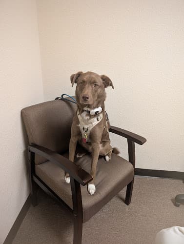 Dragon Acupuncture Clinic clinic