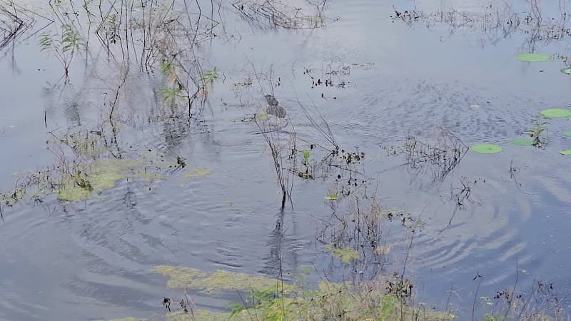 Mary's Acupuncture and Pain Relief Center clinic