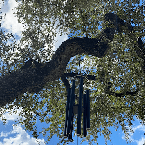 Sanctuary Community Acupuncture clinic