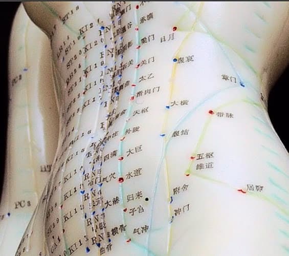 Acupuncture Infertility Care clinic