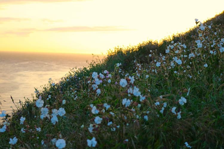 TRUEcare Integrative Medicine clinic