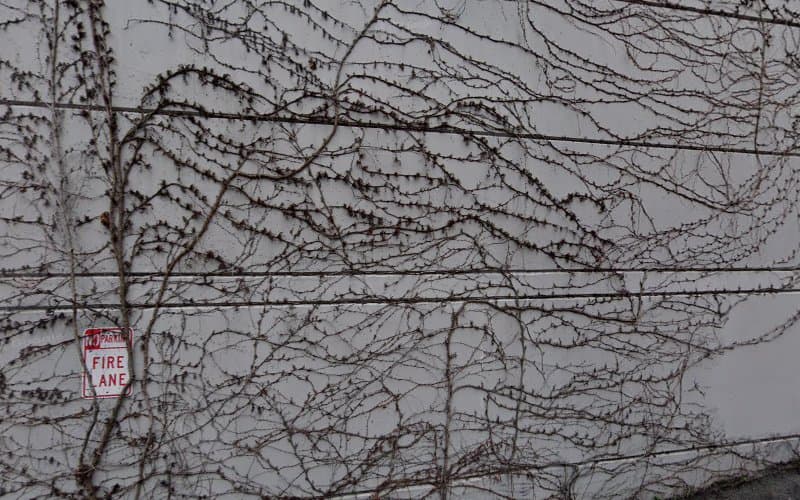 InResonance Health - Angela Cara Linamen clinic