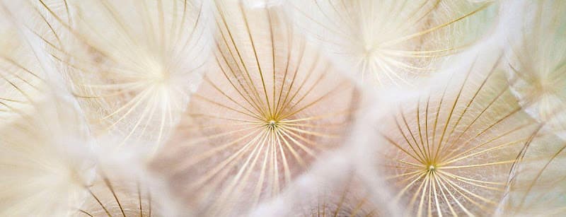 Integrative Medical Center clinic