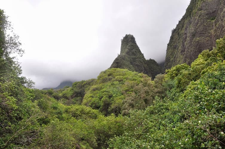 Chinese Acupuncture Clinic clinic