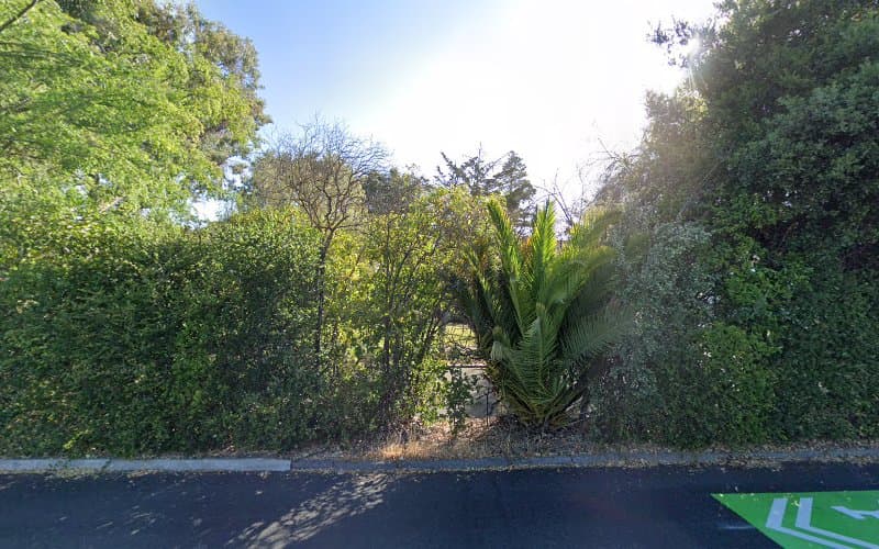 Spring Advanced Acupuncture clinic