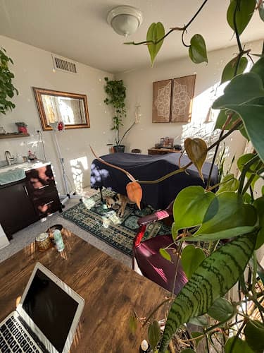 Solare Acupuncture and Red Light Therapy - Dr. Nadia Schulkind L.Ac DACM clinic