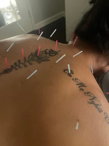 Dragonfae Acupuncture & Healing Medicinals clinic