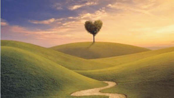 Leah R. Lubin, DOM, L.Ac., AP Acupuncture & Holistic Healing clinic