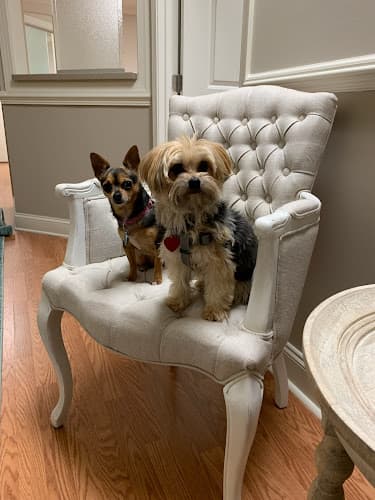 Well.Being Acupuncture & Holistic Healing Roswell, Ga clinic