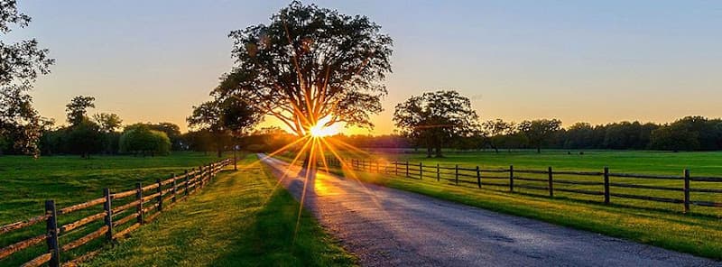 Life Balance Clinic clinic