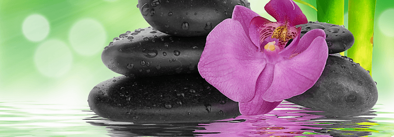 Sally Monaghan, DACM Acupuncture & Herbology clinic