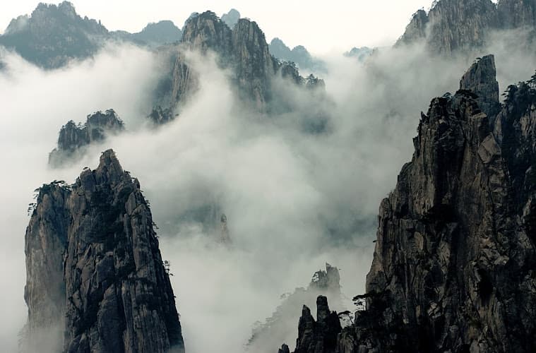 Mollenhoff Acupuncture clinic