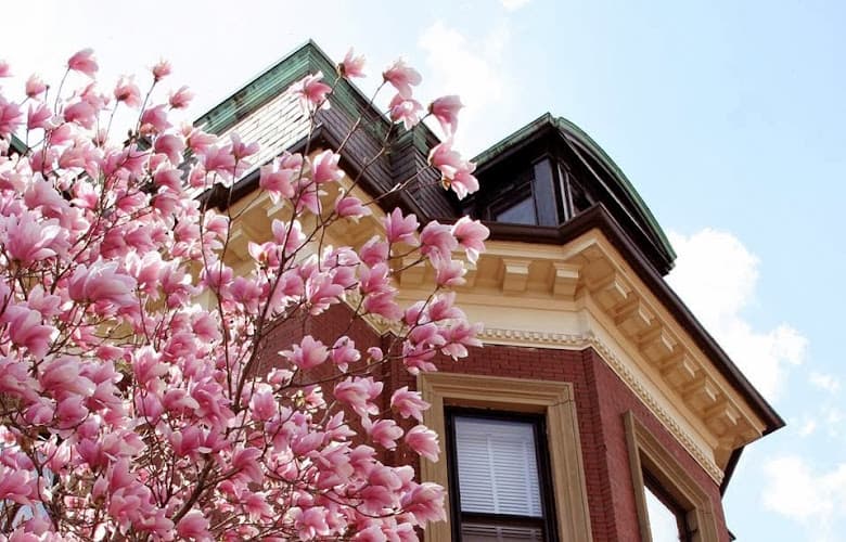 Back Bay Acupuncture and Chinese Herbal Medicine clinic