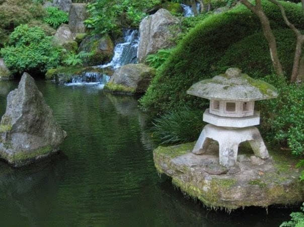 Acupuncture For Optimal Health, Tara Barnett, L.Ac clinic